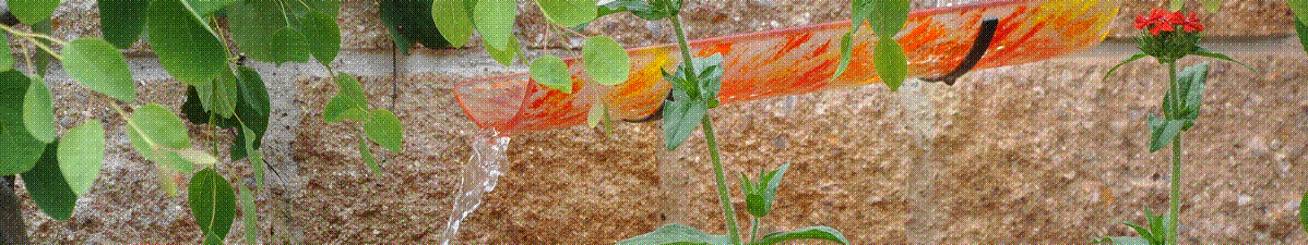Der Glasgarten am Glasstadel in Oberrieden bei Altdorf - Kreativ
